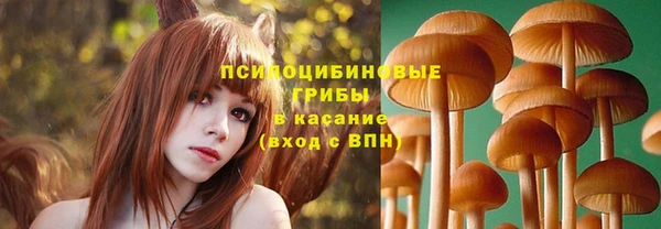 прущие крисы Баксан
